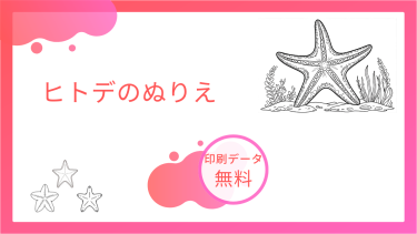 ヒトデのぬりえを無料でダウンロード